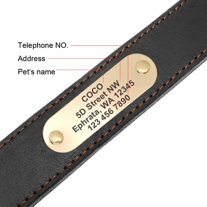 Personalized Genuine Leather Dog Collar & Leash Set – Adjustable & Durable for Small to Large Breeds