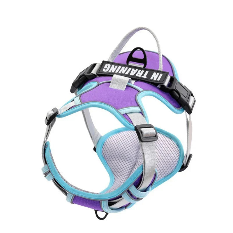 Adjustable Reflective Dog Harness – No-Pull, Breathable, Personalized - Ditzy Petunia