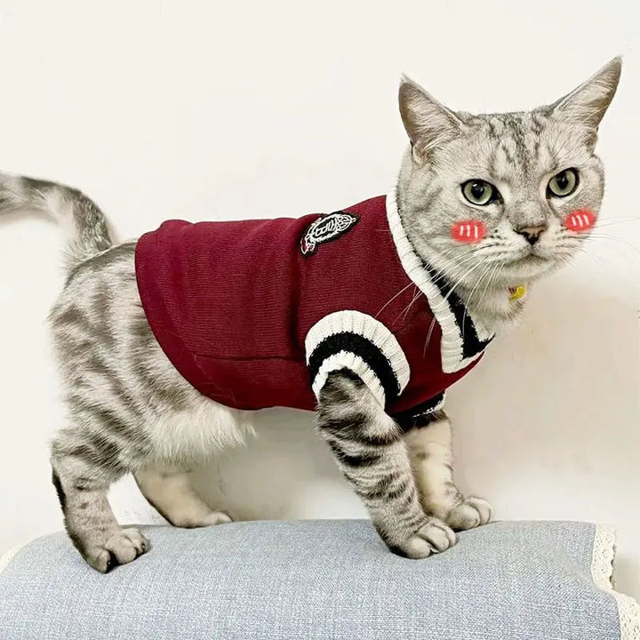 🐶 Cozy Knitted Dog Sweater – Soft &amp; Stylish Winter Pet Outfit - Ditzy Petunia