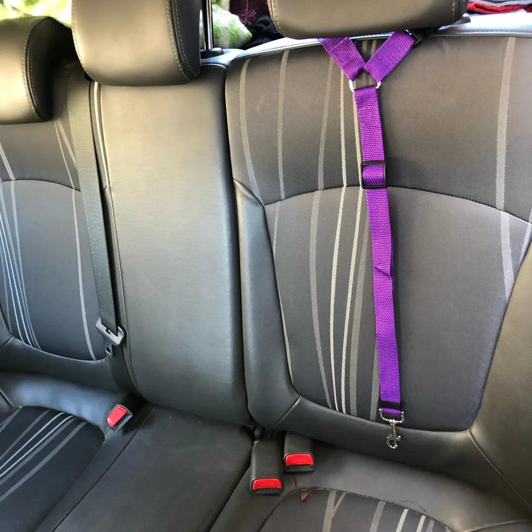 Adjustable Pet Car Seat Belt Leash - Durable Safety Harness for Dogs and Cats Ditzy Petunia