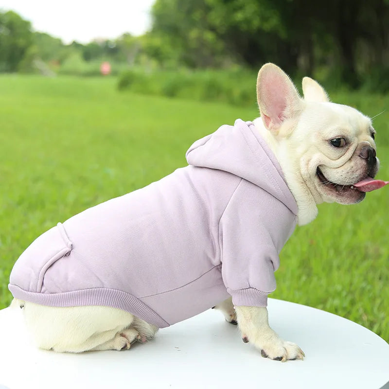 Winter Warm Puppy Vest for Small &amp; Medium Dogs – Cozy Coat for French Bulldogs, Chihuahuas, Yorkies - Ditzy Petunia