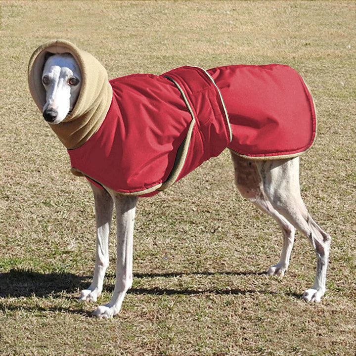 Waterproof Dog Coat - Warm Winter Jacket for Medium &amp; Large Dogs | Greyhound &amp; Shepherd Apparel - Ditzy Petunia
