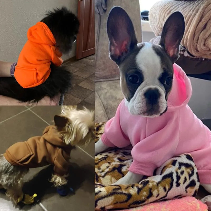 Winter Warm Puppy Vest for Small & Medium Dogs – Cozy Coat for French Bulldogs, Chihuahuas, Yorkies - Ditzy Petunia