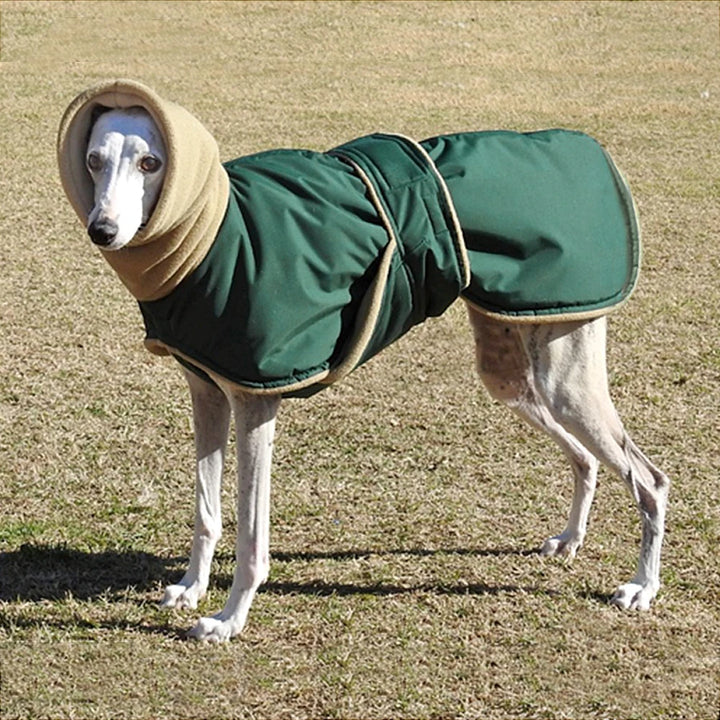 Waterproof Dog Coat - Warm Winter Jacket for Medium &amp; Large Dogs | Greyhound &amp; Shepherd Apparel - Ditzy Petunia