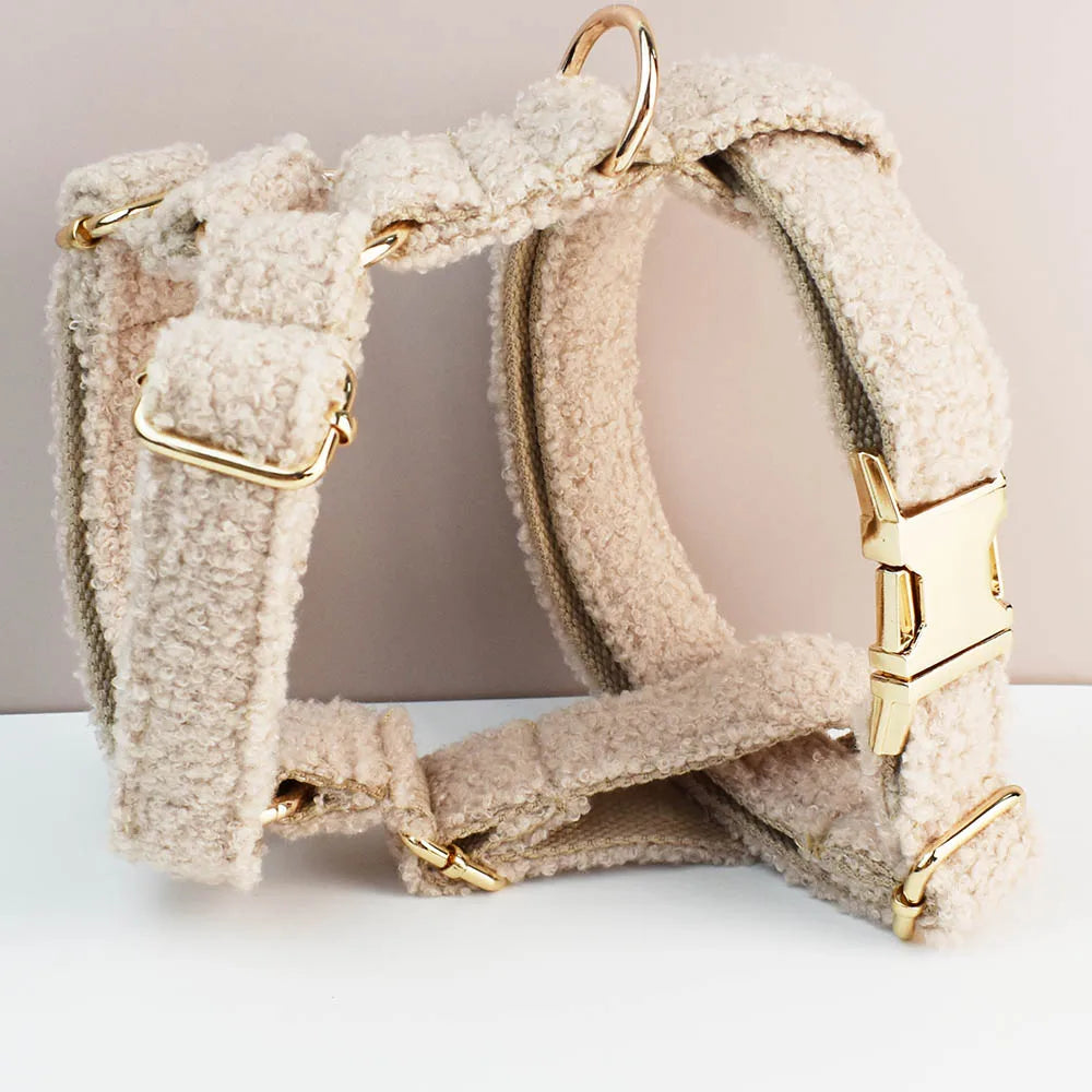 Custom Engraved Velvet Dog Collar and Leash Set – Padded, Breakaway & Personalized for All Sizes