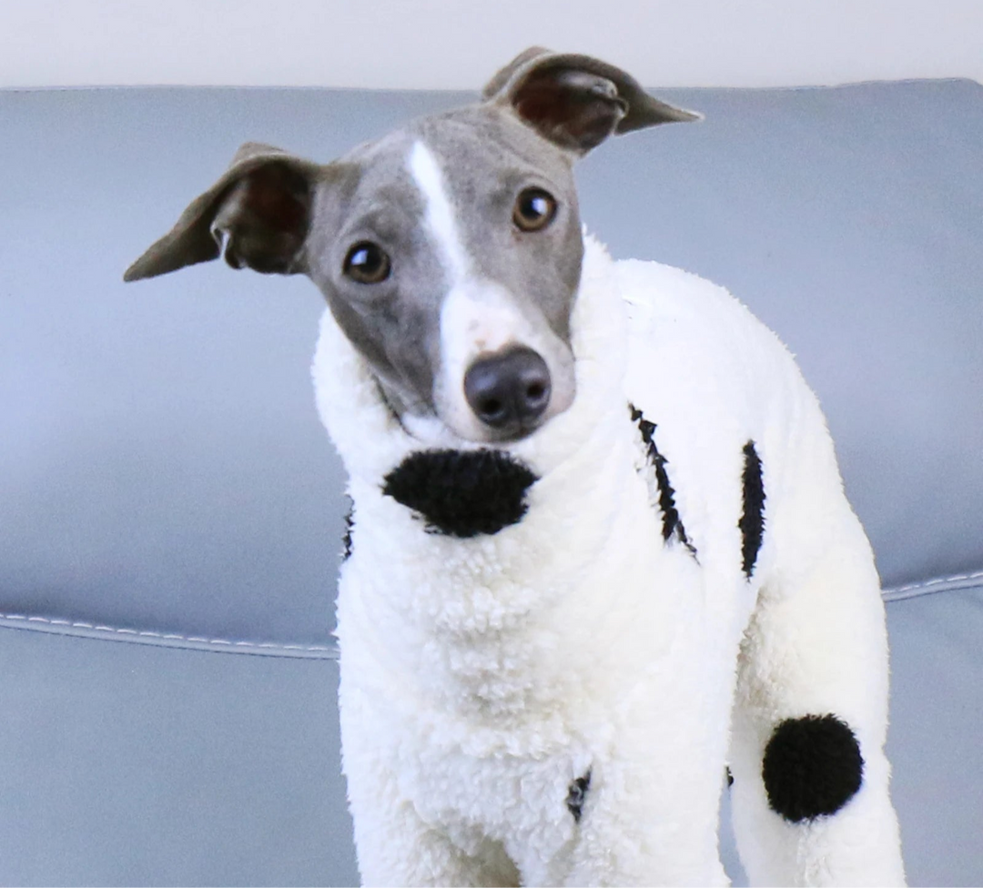 Fleece Turtleneck Dog Vest - Winter Warm Clothes for Italian Greyhounds &amp; Whippets - Ditzy Petunia