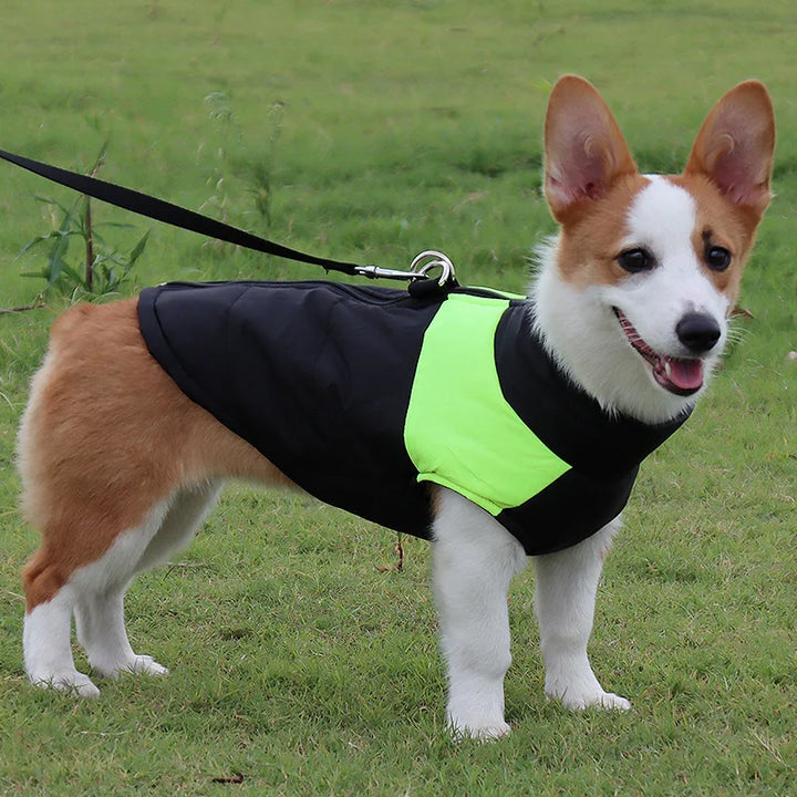 Waterproof Winter Dog Vest for Small and Large Dogs – Warm Pet Jacket for Chihuahua, French Bulldog, Yorkies, and Pugs - Ditzy Petunia