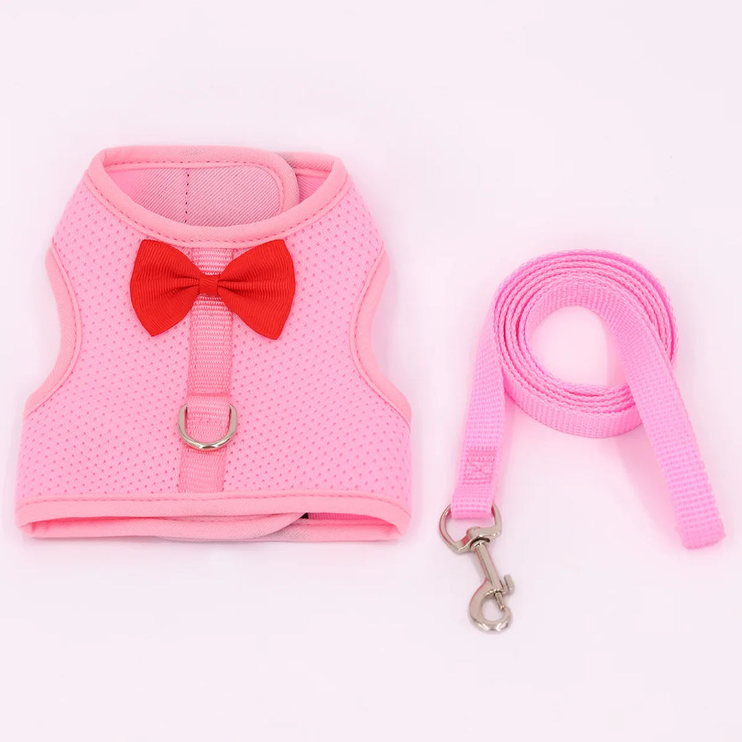 Small Animal Harness &amp; Leash Set – With Cute Red Bow