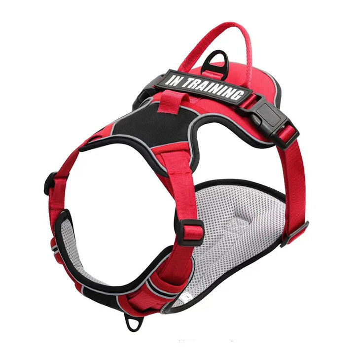 Adjustable Reflective Dog Harness – No-Pull, Breathable, Personalized - Ditzy Petunia