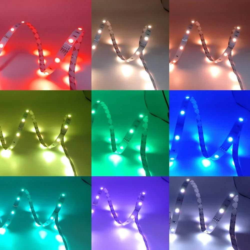 1-30M USB LED Strip Lights with APP Control | 5050 RGB Color Changing Flexible LED Light for Room Decor, TV Backlight, and Diode Lamp Tape Ditzy Petunia