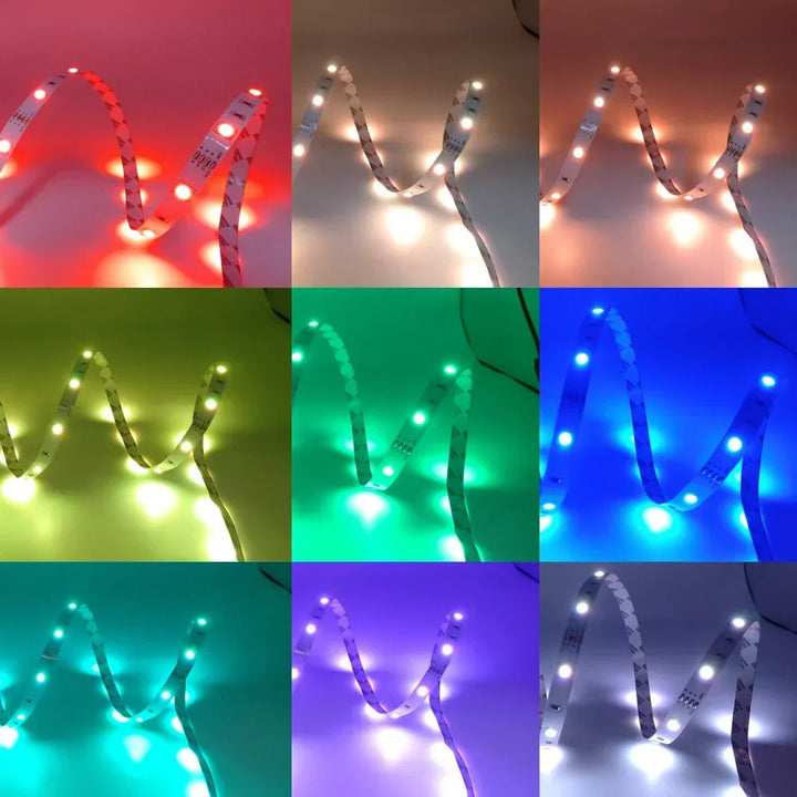 1-30M USB LED Strip Lights with APP Control | 5050 RGB Color Changing Flexible LED Light for Room Decor, TV Backlight, and Diode Lamp Tape Ditzy Petunia