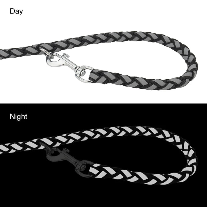 Reflective Double Dog Leash with Waist Belt – Hands-Free Walking for Two Dogs - Ditzy Petunia