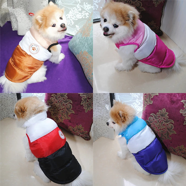 Warm Winter Pet Dog Clothes – Waterproof Puppy Coat for Small Medium Dogs, French Bulldog, Chihuahua, Yorkie, Pug - Ditzy Petunia