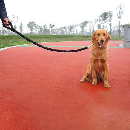 Heavy-Duty Nylon Dog Leash with Quick Release – Durable Rope Lead for Medium & Large Dogs