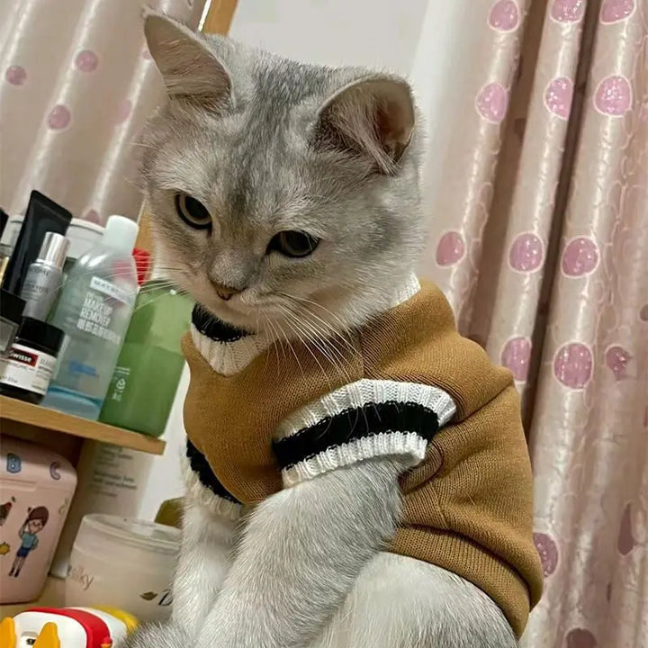 🐶 Cozy Knitted Dog Sweater – Soft &amp; Stylish Winter Pet Outfit - Ditzy Petunia