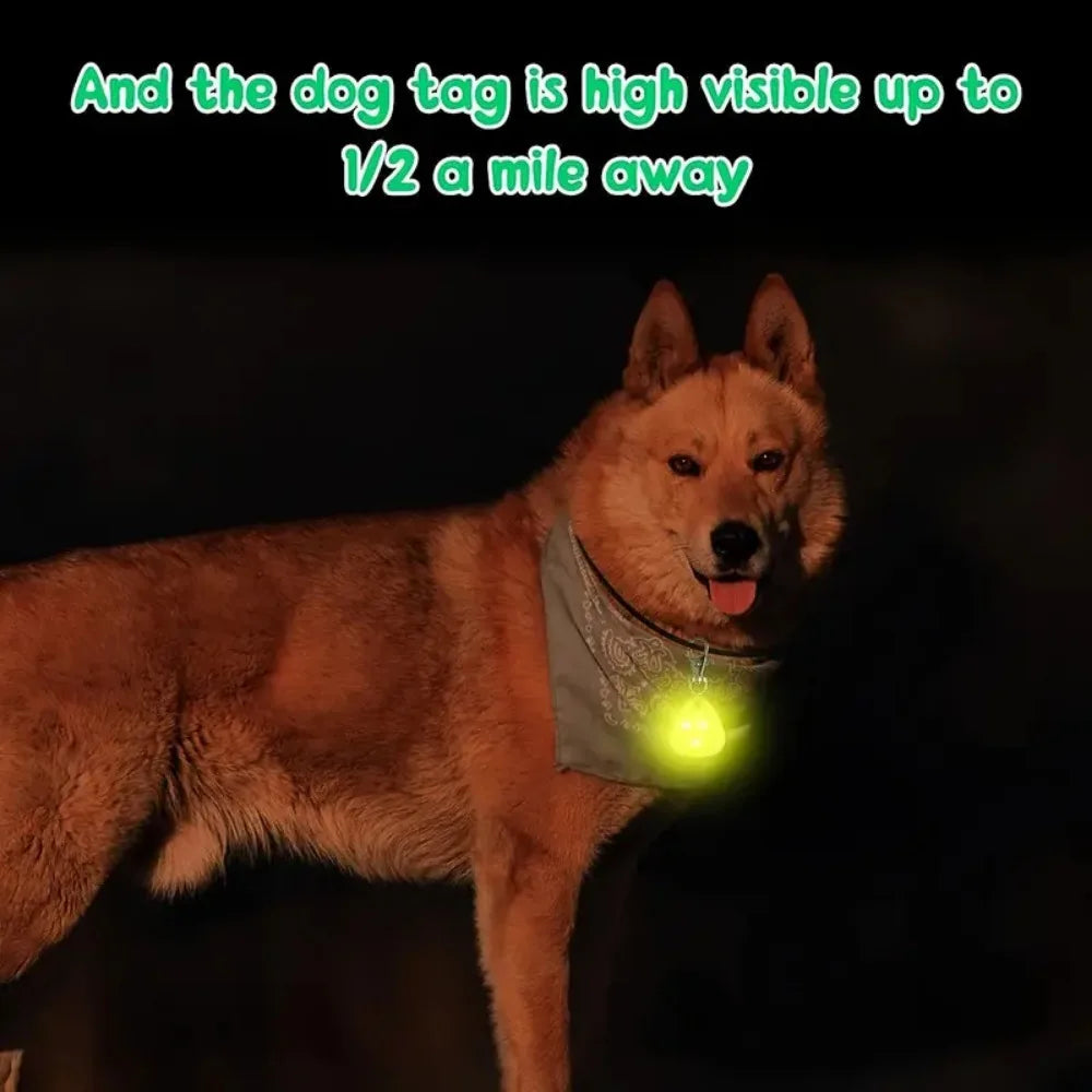 Waterproof LED Dog Collar Light – Silicone Safety Pendant with Replaceable Battery for Night Walks - Ditzy Petunia