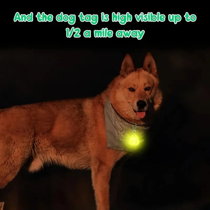 Waterproof LED Dog Collar Light – Silicone Safety Pendant with Replaceable Battery for Night Walks - Ditzy Petunia