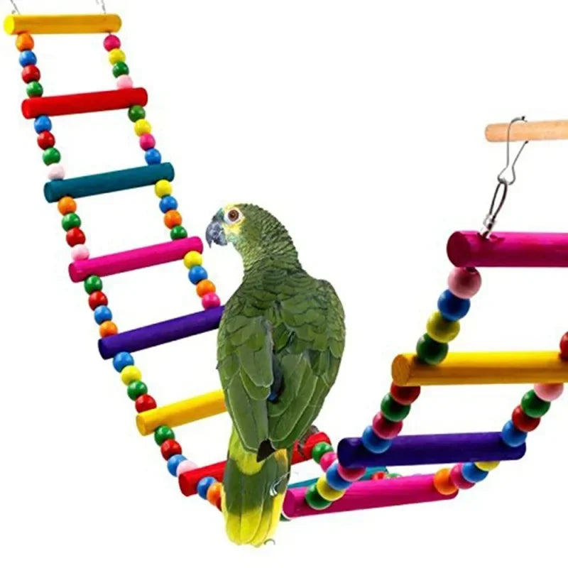 Bird Toy Set – Swing, Chew, and Training Toys for Small Parrots - Ditzy Petunia
