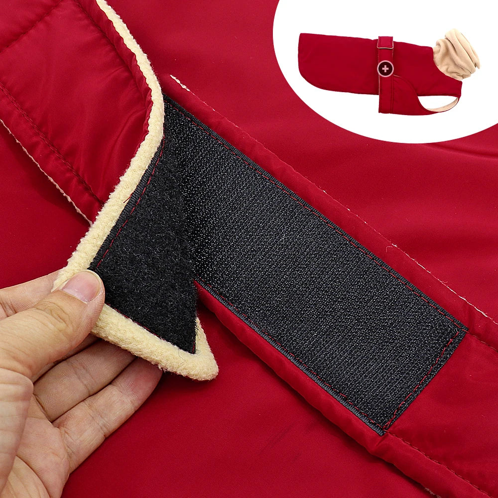 Waterproof Dog Coat - Warm Winter Jacket for Medium & Large Dogs | Greyhound & Shepherd Apparel - Ditzy Petunia