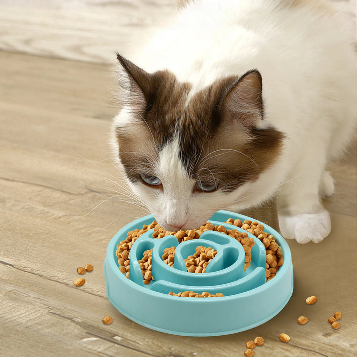 Pet Slow Feeder Bowl - Non-Slip Anti-Gulping Maze Design for Dogs &amp; Cats - Ditzy Petunia