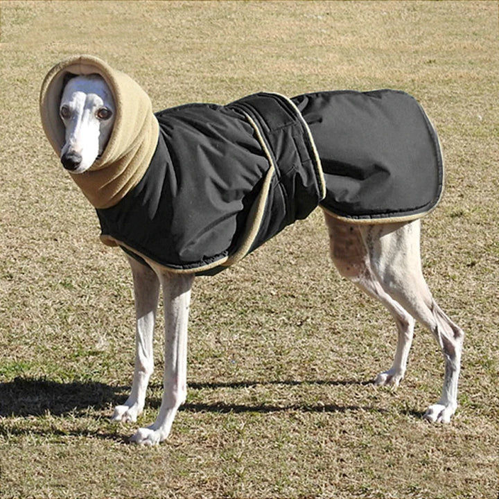 Waterproof Dog Coat - Warm Winter Jacket for Medium &amp; Large Dogs | Greyhound &amp; Shepherd Apparel - Ditzy Petunia
