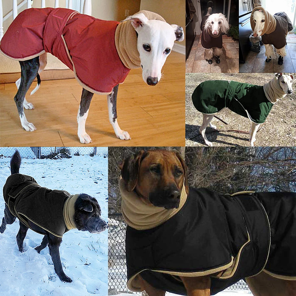 Waterproof Dog Coat - Warm Winter Jacket for Medium &amp; Large Dogs | Greyhound &amp; Shepherd Apparel - Ditzy Petunia