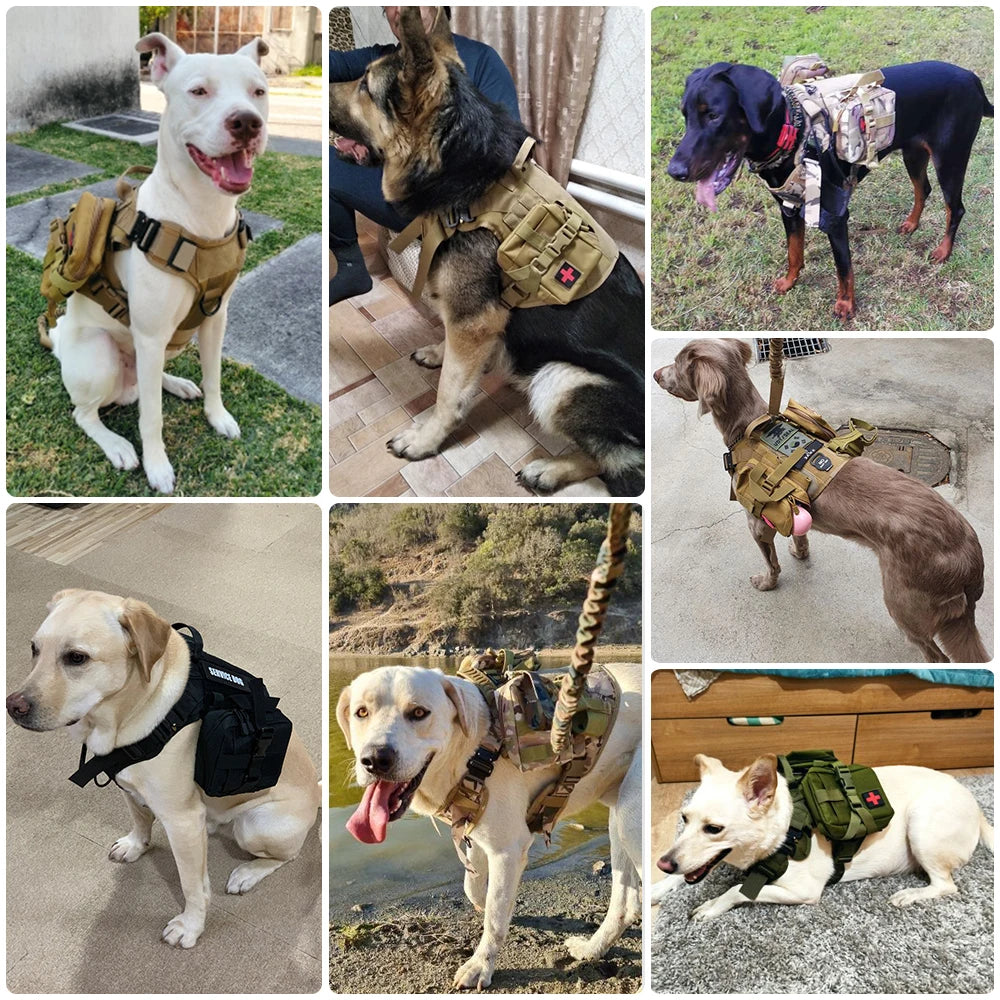 Adjustable Dog Vest Harness – Padded Nylon No-Pull Harness for Adult Dogs