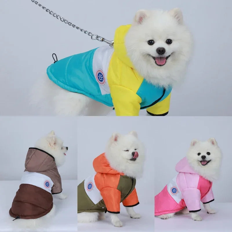Winter Dog Jacket Coat | Warm Waterproof Pet Clothes for Small, Medium &amp; Large Dogs | Polyester Dog Winter Coat - Ditzy Petunia