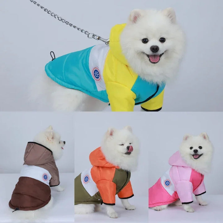 Winter Dog Jacket Coat | Warm Waterproof Pet Clothes for Small, Medium &amp; Large Dogs | Polyester Dog Winter Coat - Ditzy Petunia
