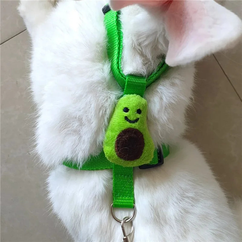 Cute Small Animal Harness & Leash Set – Adorable Fruit-Themed Designs