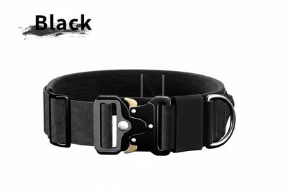 Heavy-Duty Nylon Dog Collar with Handle — Breakaway Safety Design