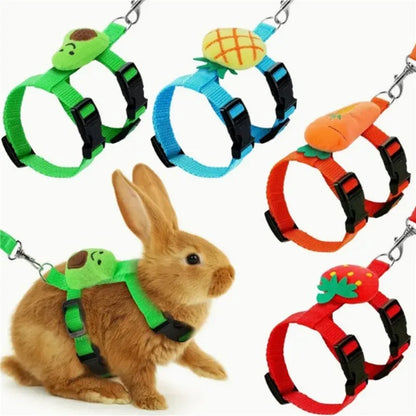 Cute Small Animal Harness & Leash Set – Adorable Fruit-Themed Designs