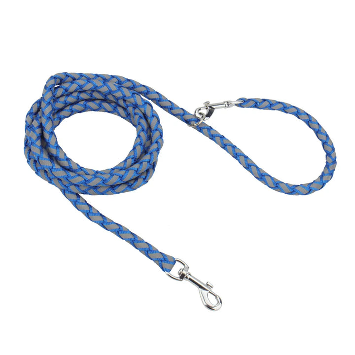 Reflective Double Dog Leash with Waist Belt – Hands-Free Walking for Two Dogs - Ditzy Petunia