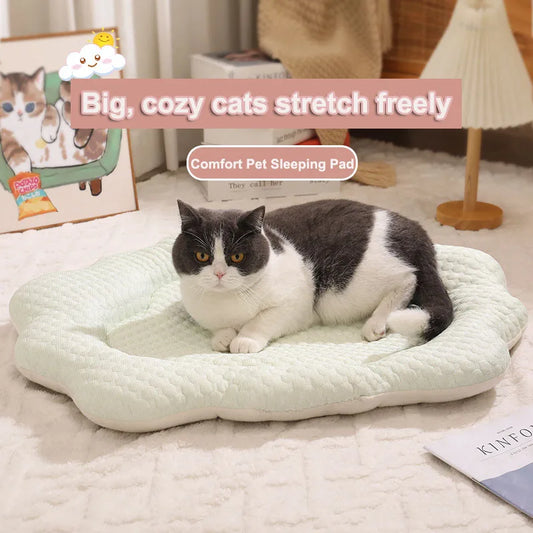 Orthopedic Plush Cat Bed – Washable All-Season Pet Bed