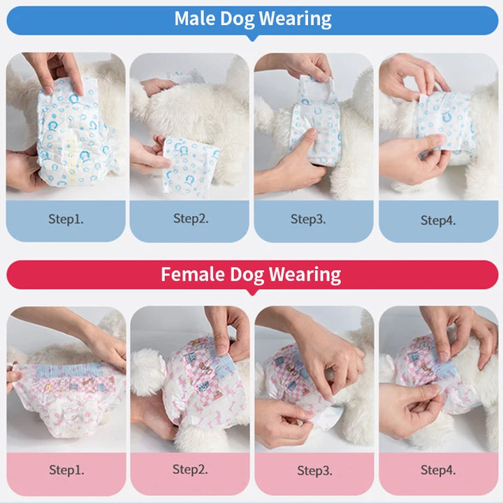 Disposable Dog Diapers – Leakproof Super Absorbent Nappies for Male &amp; Female Dogs, 10 Pack Ditzy Petunia