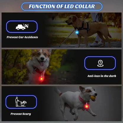 Waterproof LED Dog Collar Light – Silicone Safety Pendant with Replaceable Battery for Night Walks