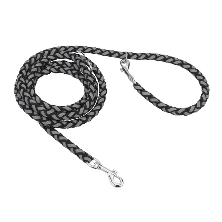 Reflective Double Dog Leash with Waist Belt – Hands-Free Walking for Two Dogs - Ditzy Petunia