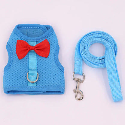 Small Animal Harness &amp; Leash Set – With Cute Red Bow