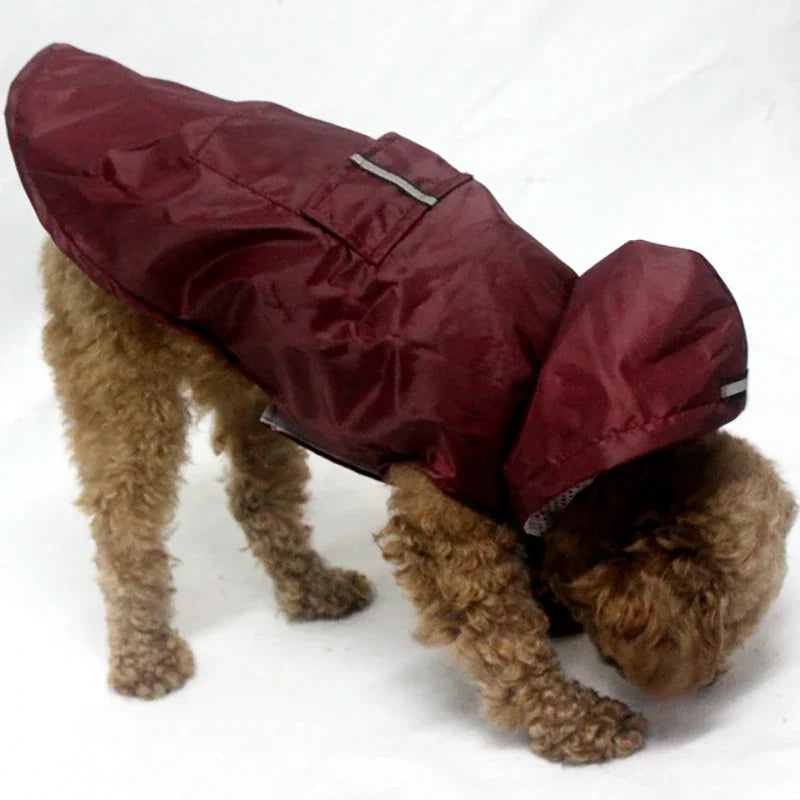 Waterproof Dog Raincoat with Hood | Reflective Pet Rain Poncho for Small &amp; Large Dogs | Raincoat for Chihuahua, Husky &amp; More - Ditzy Petunia