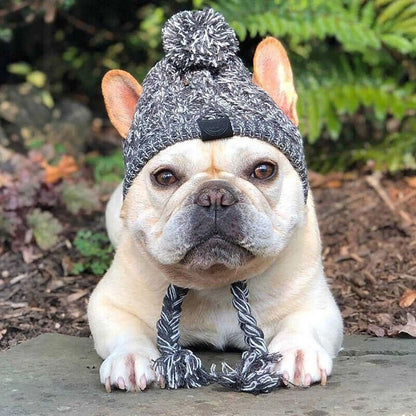 🐾 Cozy Cable-Knit Dog Hat – Winter Warmth with Style
