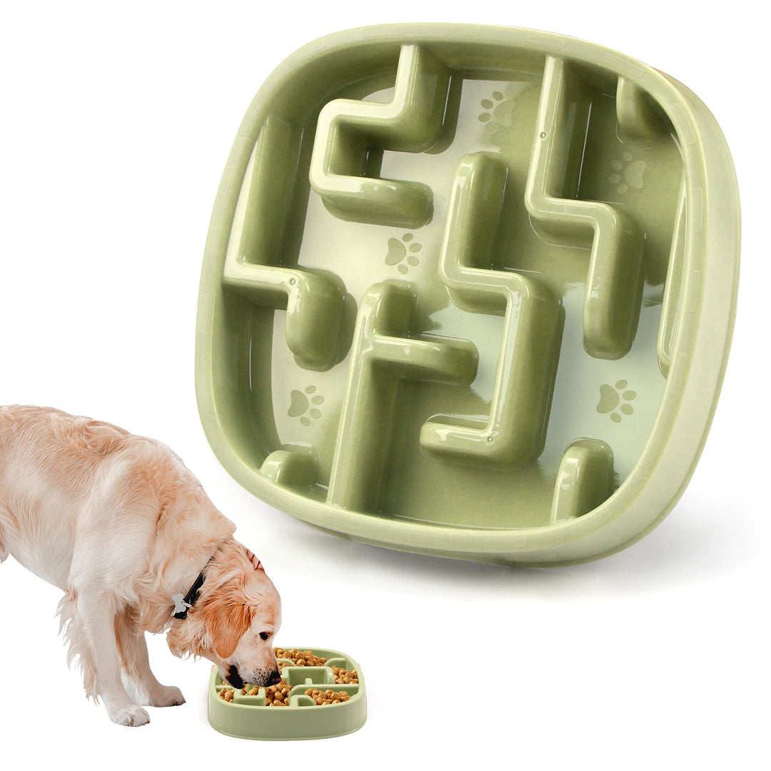 Pet Slow Feeder Bowl - Non-Slip Anti-Gulping Maze Design for Dogs &amp; Cats - Ditzy Petunia
