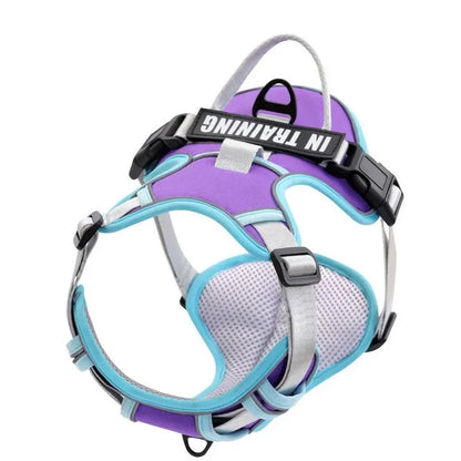 Adjustable Reflective Dog Harness – No-Pull, Breathable, Personalized