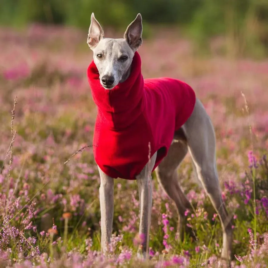 Fleece Turtleneck Dog Vest - Winter Warm Clothes for Italian Greyhounds &amp; Whippets - Ditzy Petunia