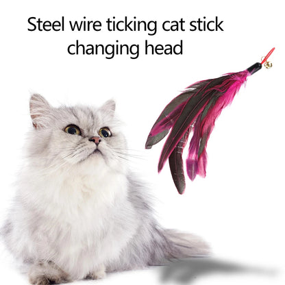 🐾 5-Pack Cat Teaser Wand Replacement Feather Toys