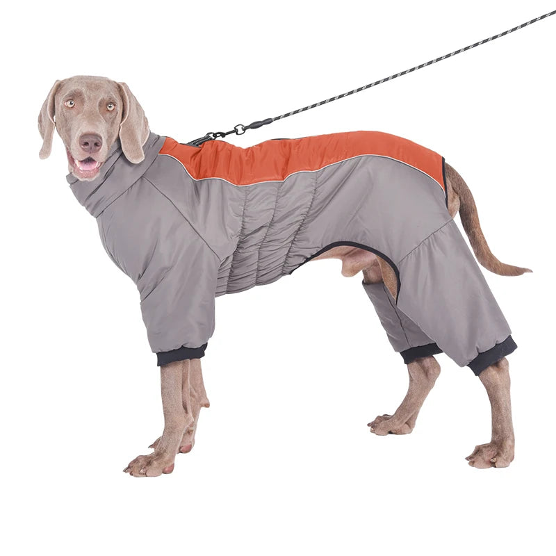 Warm Polyester Dog Jacket – Autumn/Winter Pet Coat for Medium to Large Dogs