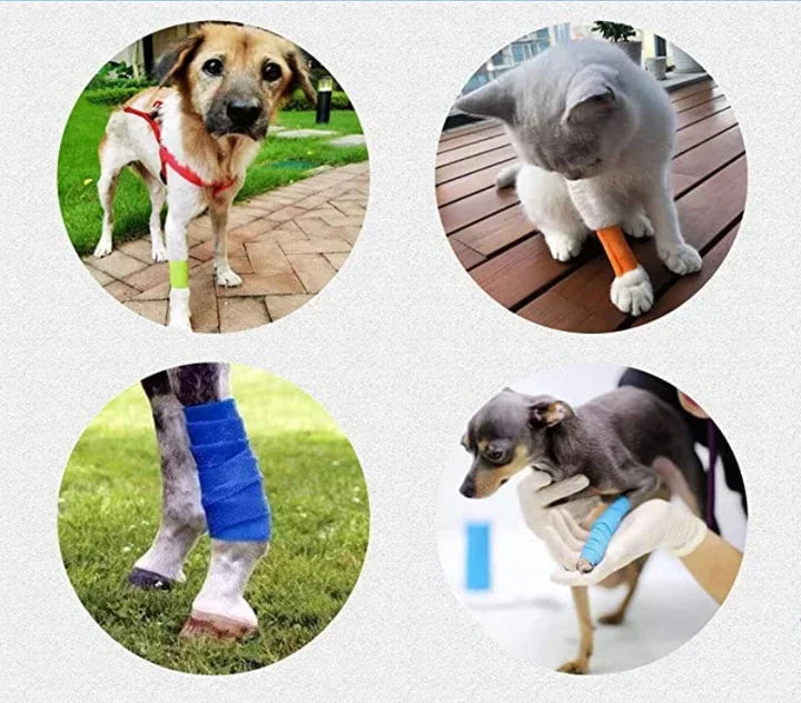Breathable Elastic Pet Bandage Wrap – Self-Adhesive Tape for Feet, Ankle, Finger, and Knee Protection | Anti-Dirt and Durable Design Ditzy Petunia
