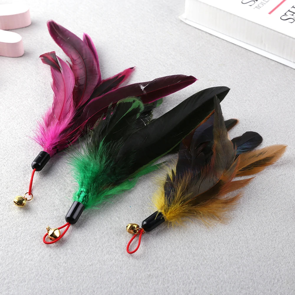 🐾 5-Pack Cat Teaser Wand Replacement Feather Toys