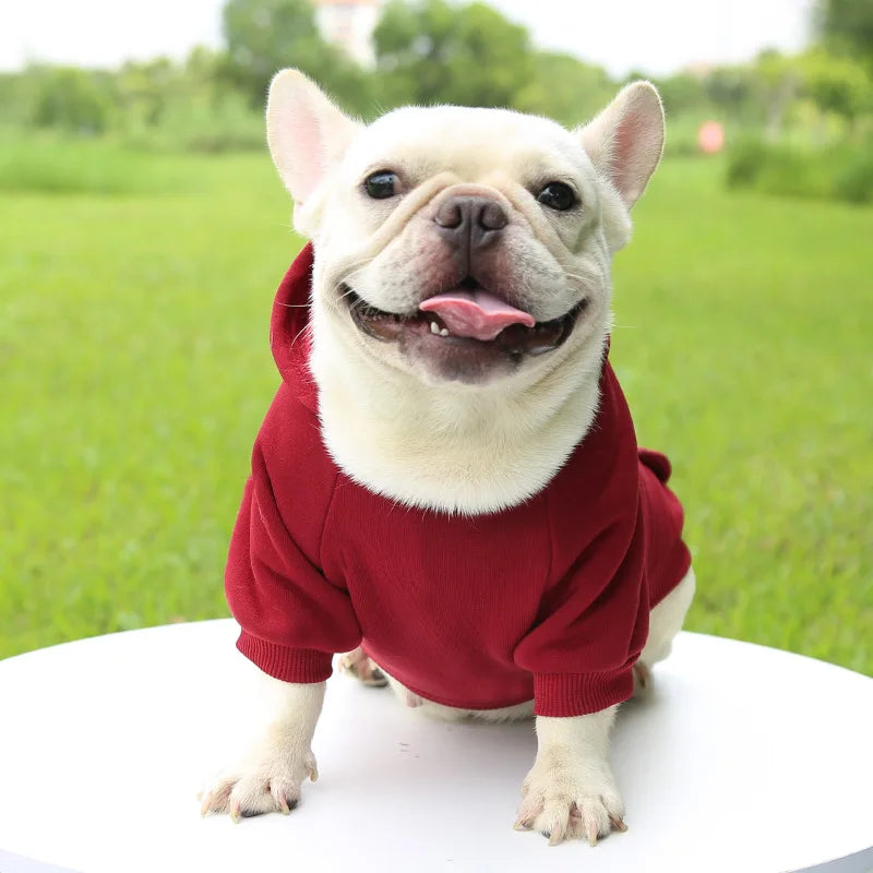 Winter Warm Puppy Vest for Small &amp; Medium Dogs – Cozy Coat for French Bulldogs, Chihuahuas, Yorkies - Ditzy Petunia