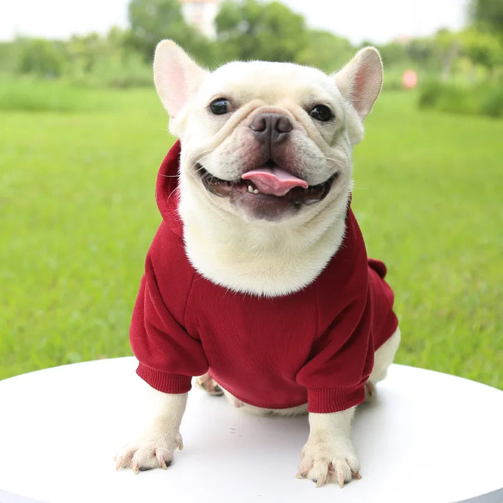 Winter Warm Puppy Vest for Small &amp; Medium Dogs – Cozy Coat for French Bulldogs, Chihuahuas, Yorkies - Ditzy Petunia