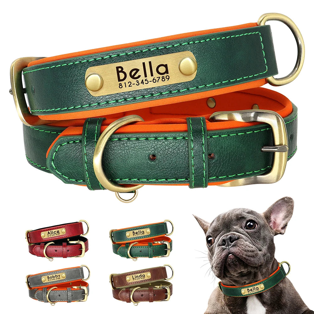 Customized Leather ID Nameplate Dog Collar Soft Padded Dogs Collars Free Engraving Name for Small Medium Large Dogs Adjustable Ditzy Petunia